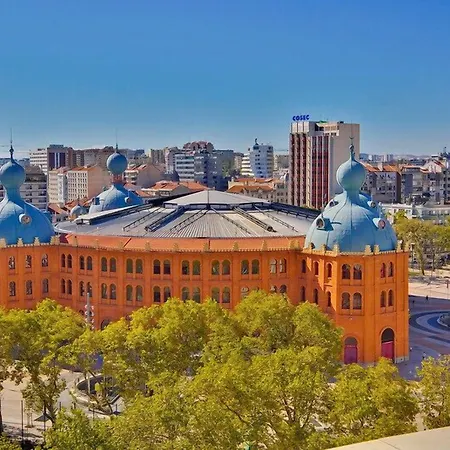 Alif Campo Pequeno 3*